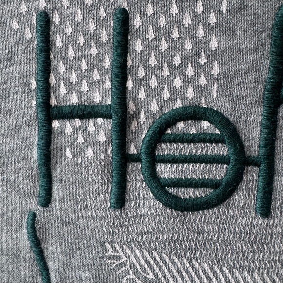 Hollister Gray Hoodie with Embroidered Graphic in Dk‎ Green Stitching, Small - Picture 3 of 15